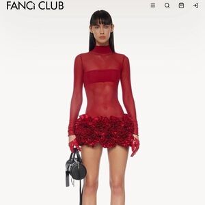 Fanci Club Scarlet Sheer Mini Dress